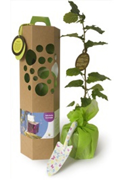 pgimg-1---bewerkt_20200703135556