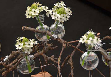 bolvaasjes-640-360x250_20171129140655