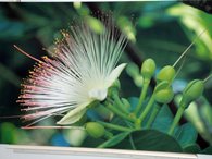 pgimg-1_20160622120925