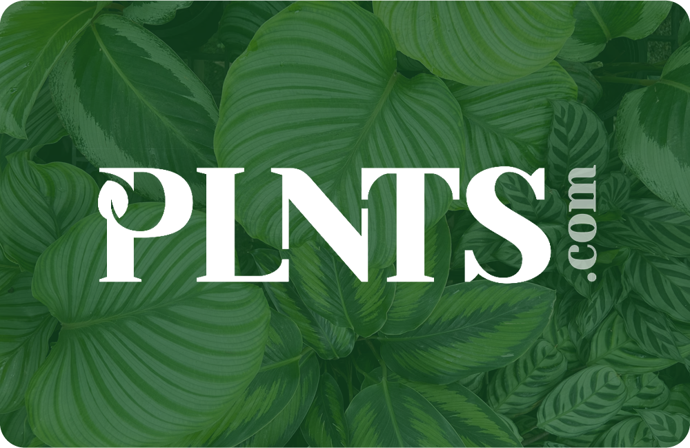 PLNTS.com