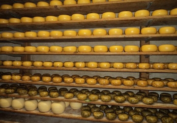 dnp-deswaankado-afbeelding-3-kaas-360x250px_20210305092823